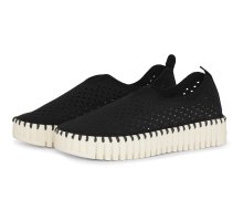 BLK 001
